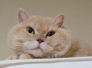 DSC_0589~2.JPG