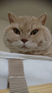 DSC_4859.JPG