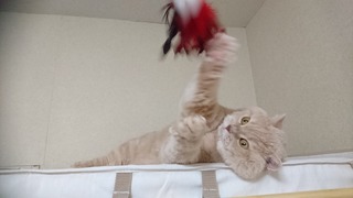 DSC_4928.JPG