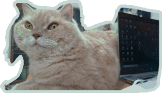 STICKER_20210106181542.gif